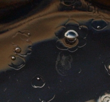 d0114517_17314248.jpg