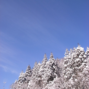 e0060517_19565114.jpg