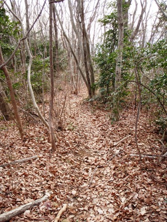f0110018_19324197.jpg