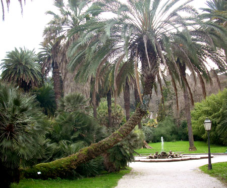 f0157724_7161493.jpg