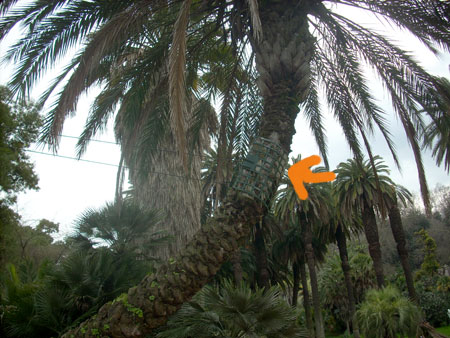 f0157724_7174822.jpg