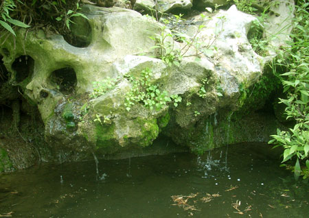 f0157724_762442.jpg