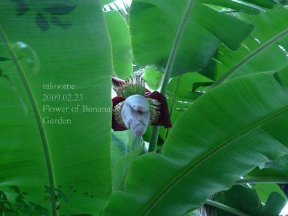 d0042827_256521.jpg