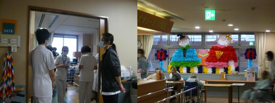 作業療法士協会 事例登録 療法食 猫