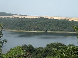 e0166734_2124448.jpg