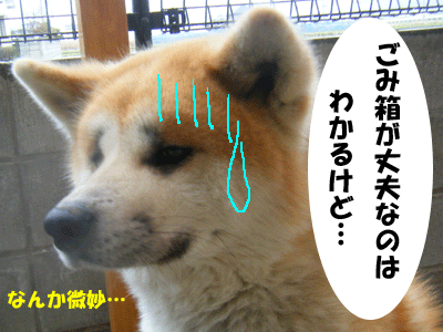 f0008935_2242799.gif