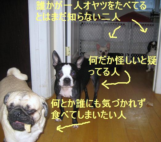 c0132537_12204049.jpg