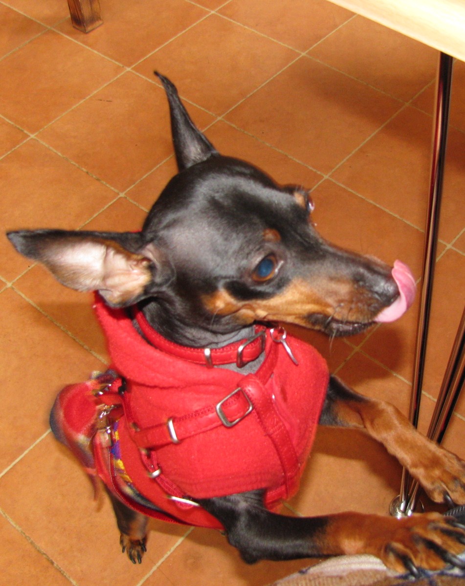e0150843_1734028.jpg