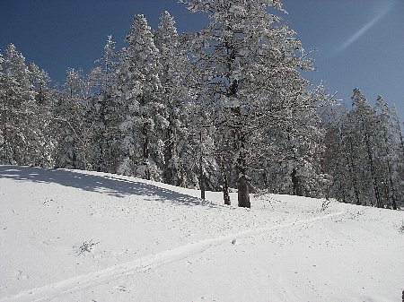 a0056654_9112934.jpg
