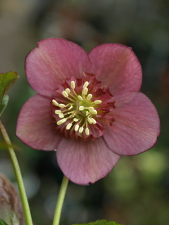 e0105760_17275439.jpg