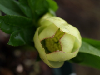 e0105760_17285182.jpg