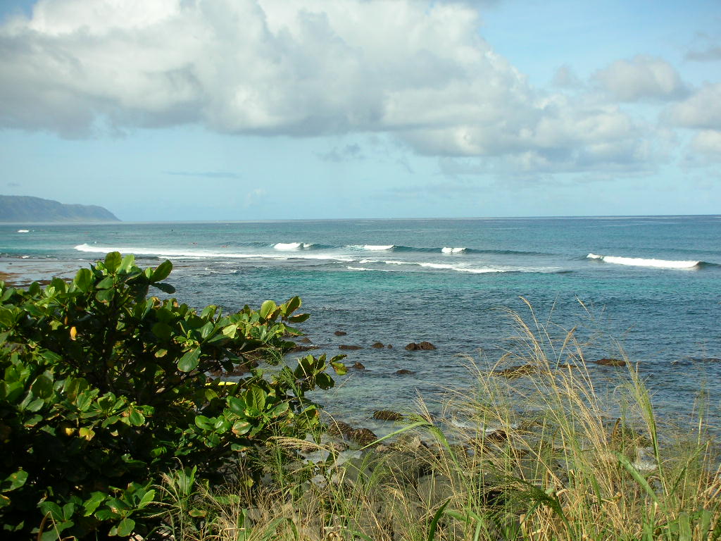 f0186368_17181890.jpg