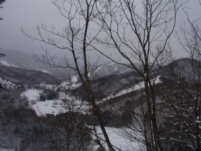 f0045872_0334231.jpg
