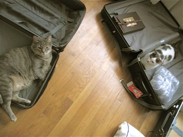 d0008073_147317.jpg