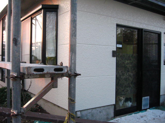 d0070473_14245863.jpg