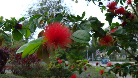 a0002177_2044082.jpg
