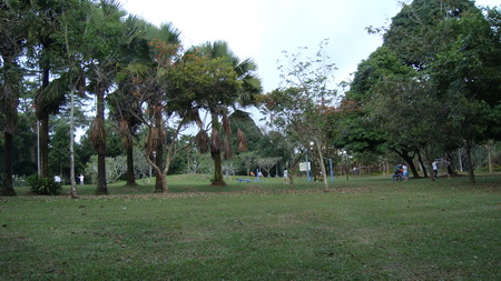 a0002177_20452879.jpg