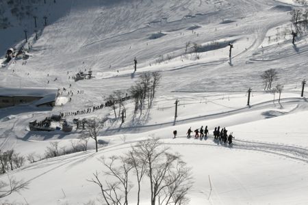 d0079579_2247303.jpg