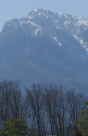 a0091680_1295016.jpg