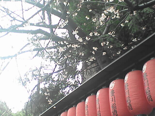 c0069380_19151148.jpg