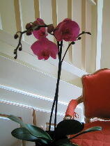 f0120980_1334344.jpg
