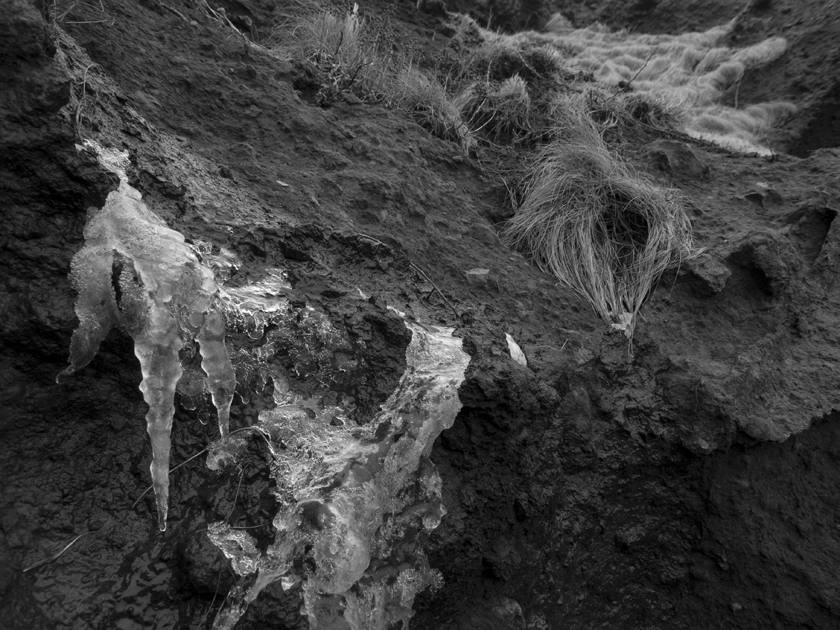 d0152981_23442627.jpg