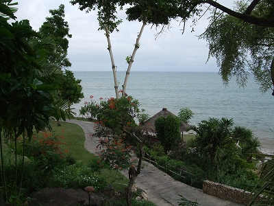 b0101284_1502726.jpg