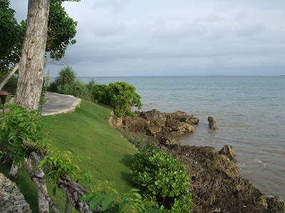 b0101284_1524998.jpg