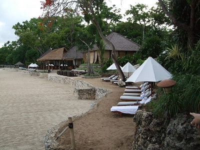 b0101284_15305455.jpg