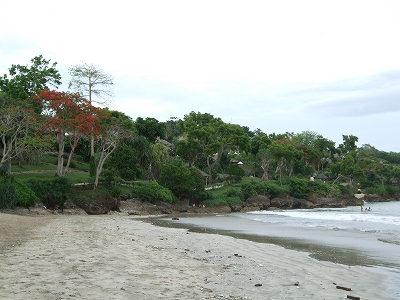 b0101284_1534293.jpg