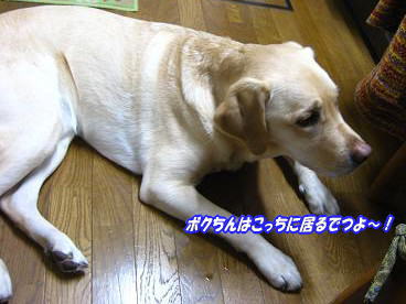 c0028792_2337175.jpg