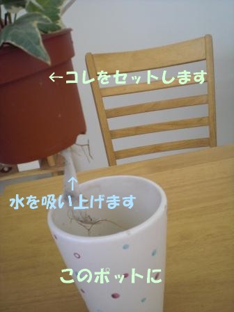 c0196992_7534459.jpg