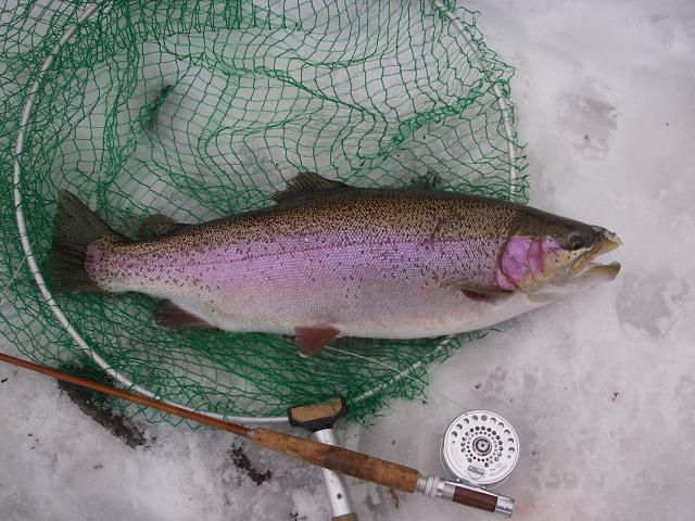 e0144195_10111562.jpg