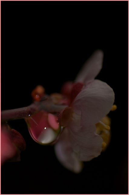 f0110195_17335743.jpg