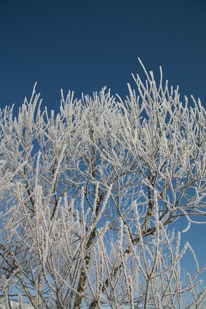 f0034602_210399.jpg