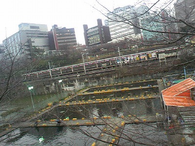 a0024005_161740100.jpg