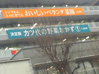 a0024005_16175891.jpg