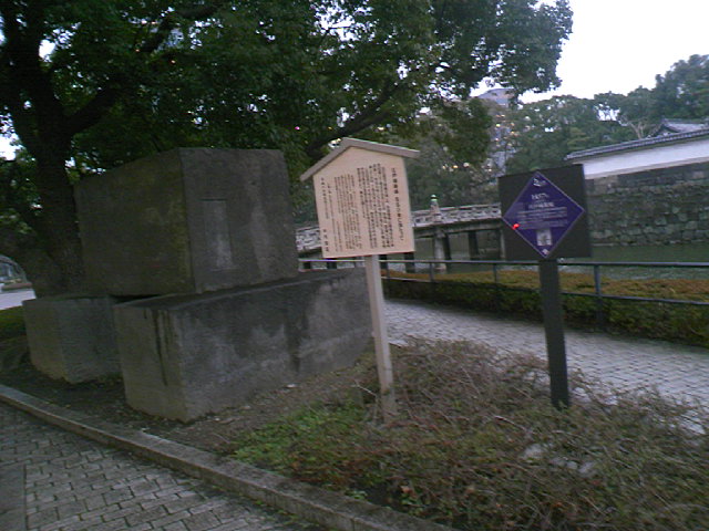 a0024005_16204785.jpg