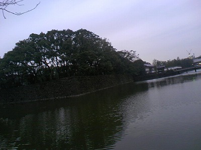 a0024005_1621574.jpg