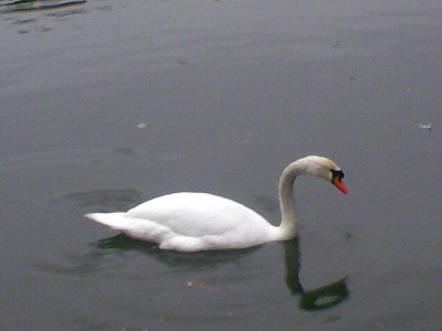 a0024005_1622873.jpg