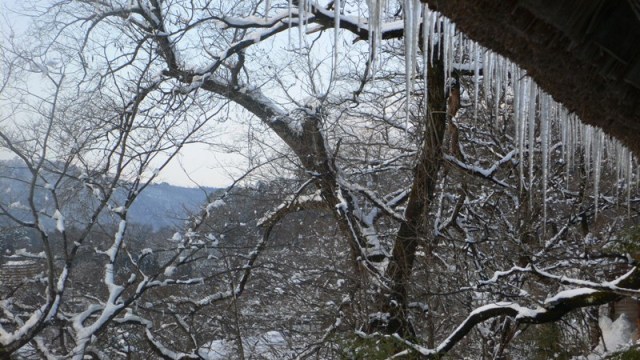 f0167007_9141587.jpg