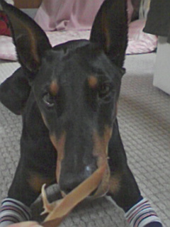 a0114508_22485627.jpg