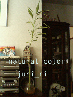 c0063808_1335169.jpg
