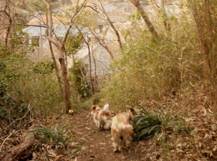 e0078510_2233996.jpg