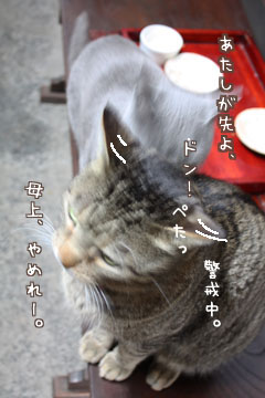 e0156015_16461097.jpg