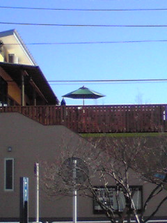 c0154819_23388.jpg