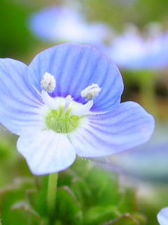 e0136420_2332126.jpg