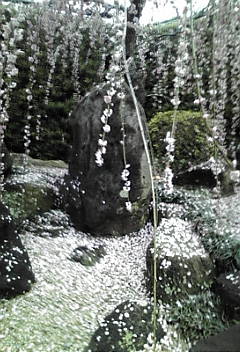 a0098027_17134921.jpg
