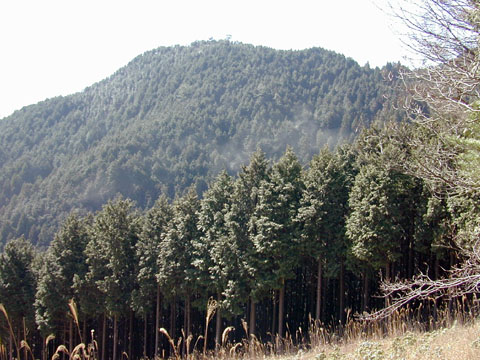 c0131727_1594664.jpg