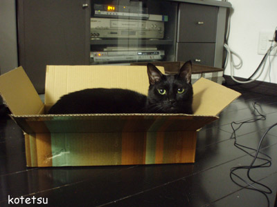 c0132438_2234173.jpg